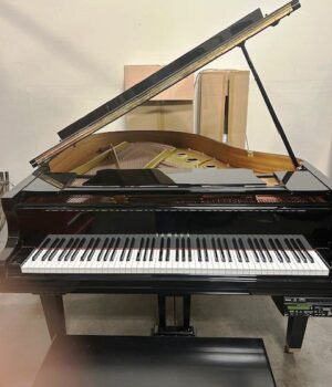 Size: 5'3"Made in 2002$15,000