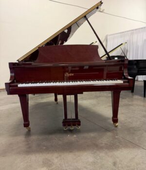 Size:5'10"Made in 2000$12,000